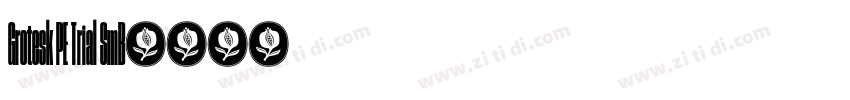 Grotesk PE Trial SmB字体转换